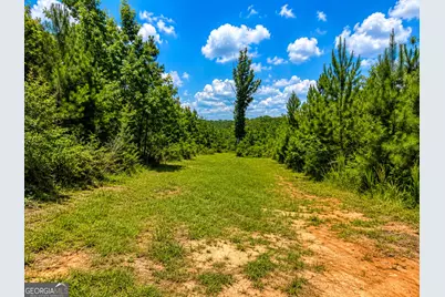 21 Acres Cochran Road, Madison, GA 30650 - Photo 12