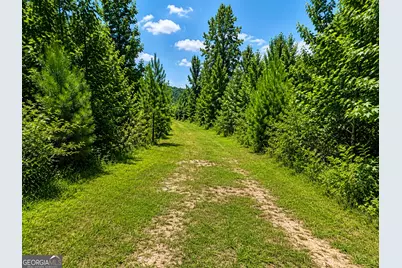 21 Acres Cochran Road, Madison, GA 30650 - Photo 6