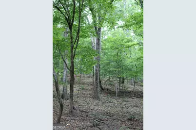 1135 Mount Moriah Road, Auburn, GA 30011 - Photo 4