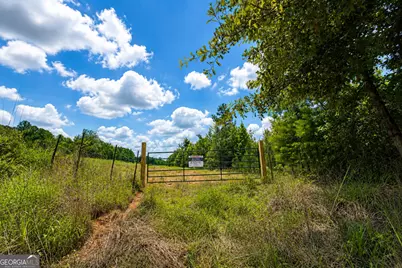 29 Acres Cochran Road, Madison, GA 30650 - Photo 4