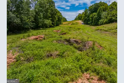 29 Acres Cochran Road, Madison, GA 30650 - Photo 12