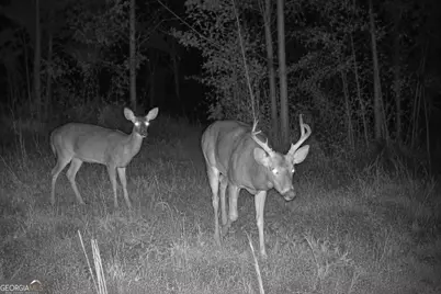 29 Acres Cochran Road, Madison, GA 30650 - Photo 4
