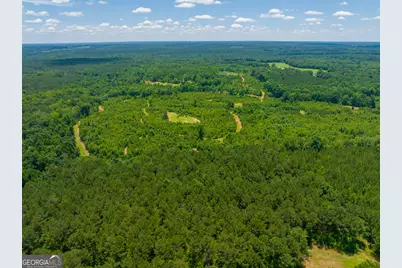 29 Acres Cochran Road, Madison, GA 30650 - Photo 18