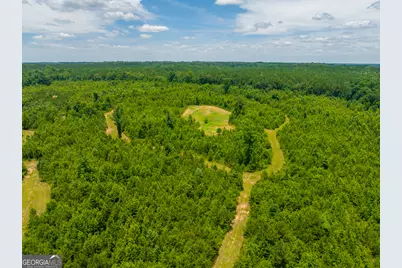 29 Acres Cochran Road, Madison, GA 30650 - Photo 16