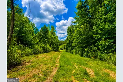 29 Acres Cochran Road, Madison, GA 30650 - Photo 10