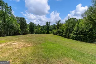 3715 Ga Hwy 219, Franklin, GA 30217 - Photo 52