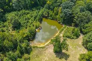 3715 Ga Hwy 219, Franklin, GA 30217 - Photo 62