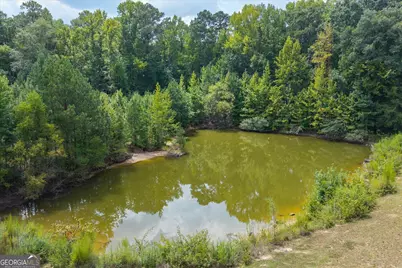 3715 Ga Highway 219, Franklin, GA 30217 - Photo 54