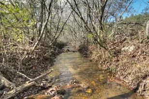 203 Buck Creek Tr, Epworth, GA 30541 - Photo 30