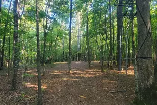 259 Hawks Trail, Newborn, GA 30056 - Photo 60
