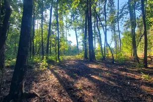259 Hawks Trail, Newborn, GA 30056 - Photo 64
