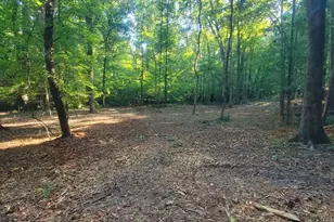 259 Hawks Trail, Newborn, GA 30056 - Photo 76