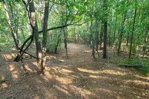 259 Hawks Trail, Newborn, GA 30056 - Photo 74