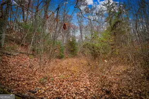 1 5 Acre Bullen Gap Rd, Blue Ridge, GA 30513 - Photo 54