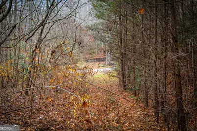 1.5 Acre Bullen Gap Road, Blue Ridge, GA 30513 - Photo 58