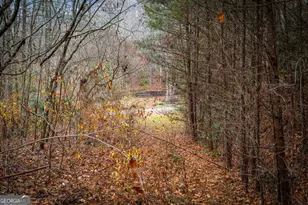 1 5 Acre Bullen Gap Rd, Blue Ridge, GA 30513 - Photo 58