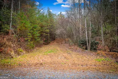 1.5 Acre Bullen Gap Road, Blue Ridge, GA 30513 - Photo 56
