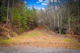 1 5 Acre Bullen Gap Rd, Blue Ridge, GA 30513 - Photo 56