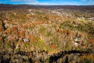 1 5 Acre Bullen Gap Rd, Blue Ridge, GA 30513 - Photo 46