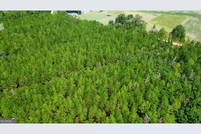 Tract 2 A L Reeves Road, Fitzgerald, GA 31750 - Photo 2