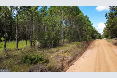 Tract 2 A L Reeves Road, Fitzgerald, GA 31750 - Photo 4