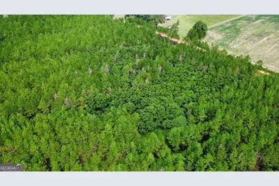 Tract 3 A L Reeves Road, Fitzgerald, GA 31750 - Photo 1