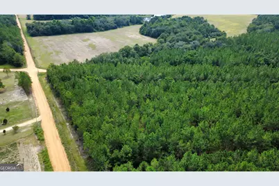 Tract 4 A L Reeves Road, Fitzgerald, GA 31750 - Photo 2