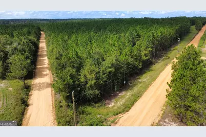 Tract 4 A L Reeves Road, Fitzgerald, GA 31750 - Photo 4