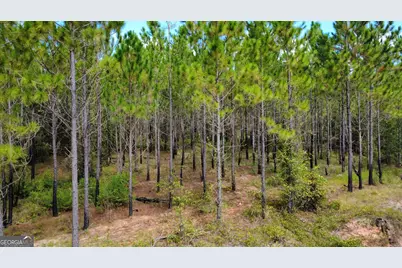 Tract 6 Sunflower Road, Fitzgerald, GA 31750 - Photo 6