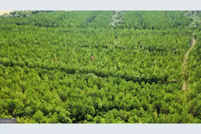 Tract 6 Sunflower Road, Fitzgerald, GA 31750 - Photo 2