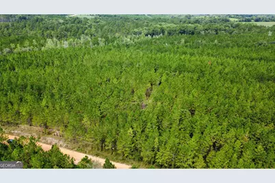 Tract 6 Sunflower Road, Fitzgerald, GA 31750 - Photo 4