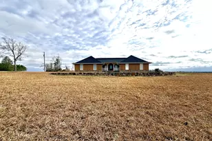2166 Ga Hwy 199, Mount Vernon, GA 30445 - Photo 2