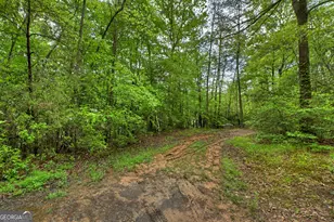 388 Jones St, Blue Ridge, GA 30513 - Photo 36