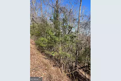 0 Eastman Mtn Road, Tiger, GA 30576 - Photo 2