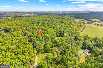 0 Holli Bird Lane, Ringgold, GA 30736 - Photo 22
