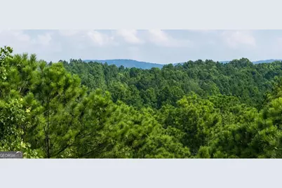 Lt 160 Shallow Water Trail, Talking Rock, GA 30175 - Photo 2