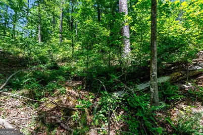 Lt 160 Shallow Water Trail, Talking Rock, GA 30175 - Photo 14