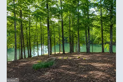 201 Hickory Hill Lane, Martin, GA 30557 - Photo 48