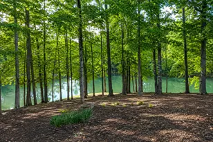 201 Hickory Hill Ln, Martin, GA 30557 - Photo 48