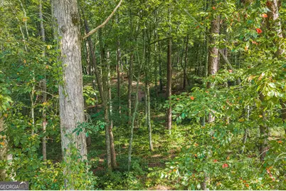 186 Pinnacle Drive, Ellijay, GA 30540 - Photo 2