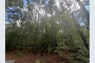 490 Sparta Highway, Milledgeville, GA 31061 - Photo 36