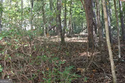 Lot 546 Satsuma North Court, Ellijay, GA 30540 - Photo 8