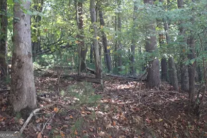 Lot 546 Satsuma North Court, Ellijay, GA 30540 - Photo 10