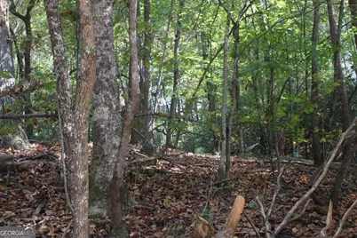 Lot 546 Satsuma North Court, Ellijay, GA 30540 - Photo 4