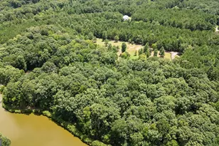 710 Line Creek Rd, Senoia, GA 30276 - Photo 98
