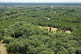 710 Line Creek Rd, Senoia, GA 30276 - Photo 100