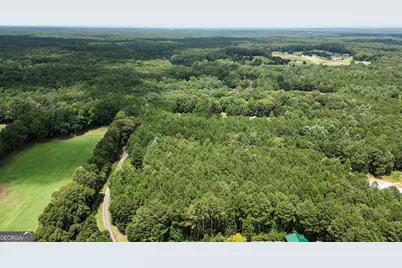 710 Line Creek Road, Senoia, GA 30276 - Photo 104