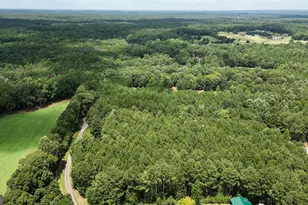 710 Line Creek Rd, Senoia, GA 30276 - Photo 104