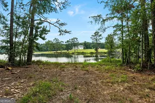 2224 Chainey Briar Rd, Metter, GA 30439 - Photo 38