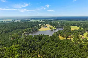 2224 Chainey Briar Rd, Metter, GA 30439 - Photo 28